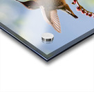 Anna & Lucifer Acrylic print