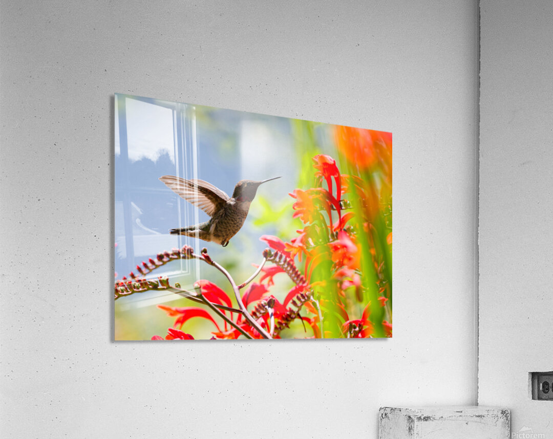 Anna & Lucifer Acrylic Print