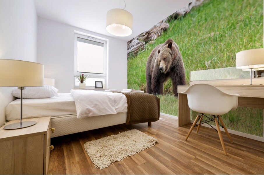 Boss Bear Mural print