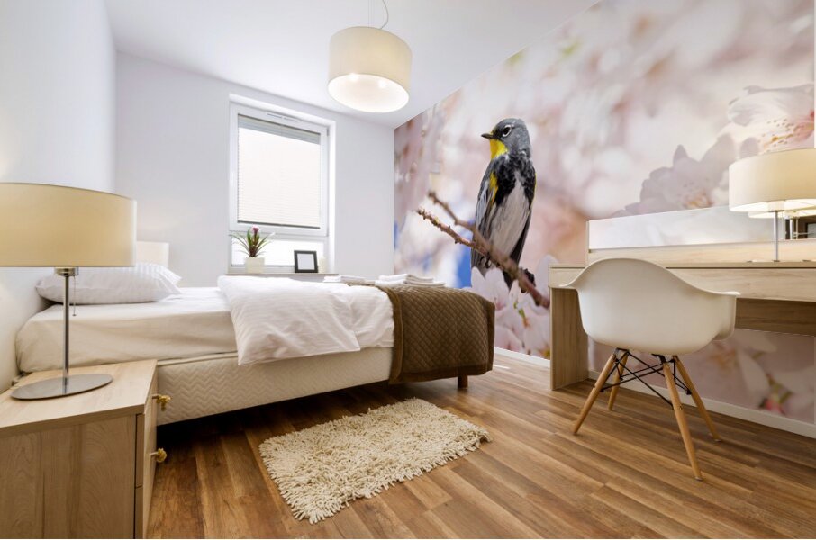 Warbler & Cherry Blossoms Mural print