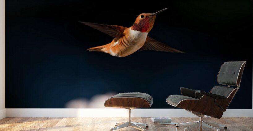 Hovercraft Wall Murals