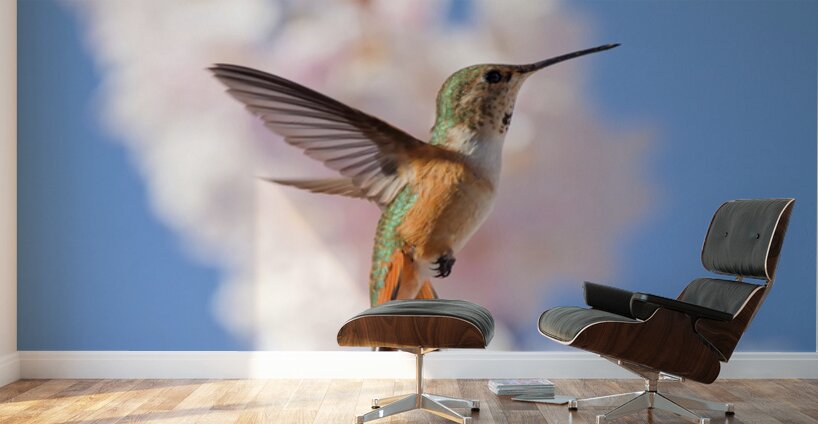 Regal Defence Wall Murals