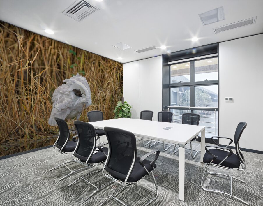 Peek-A-Boo Wall Printing