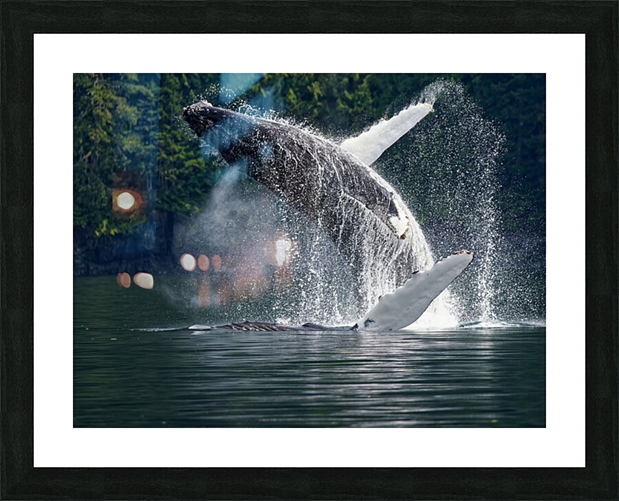 Celebration Picture Frame print