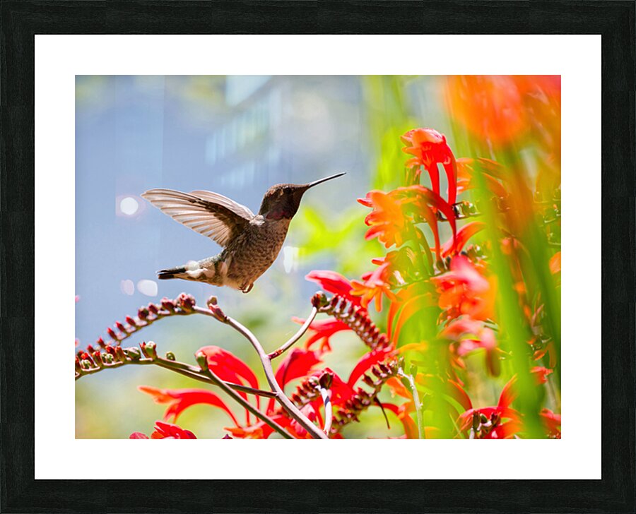 Anna & Lucifer Picture Frame print