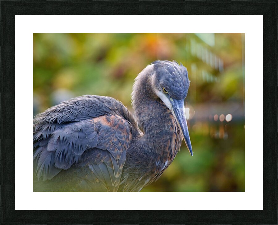 Autumn Blue Picture Frame print