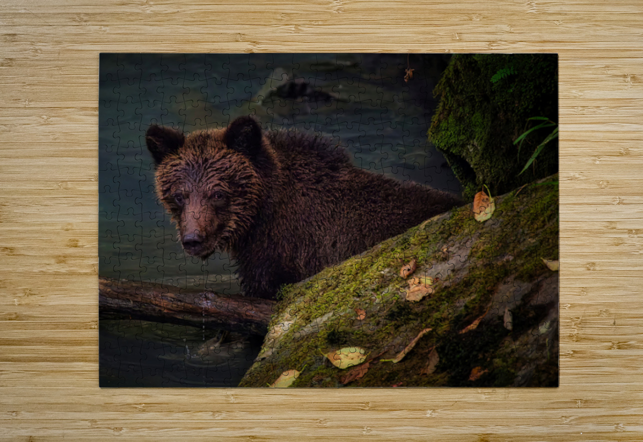 Life & Death in the Shadows Heather Bee Photography Puzzle printing