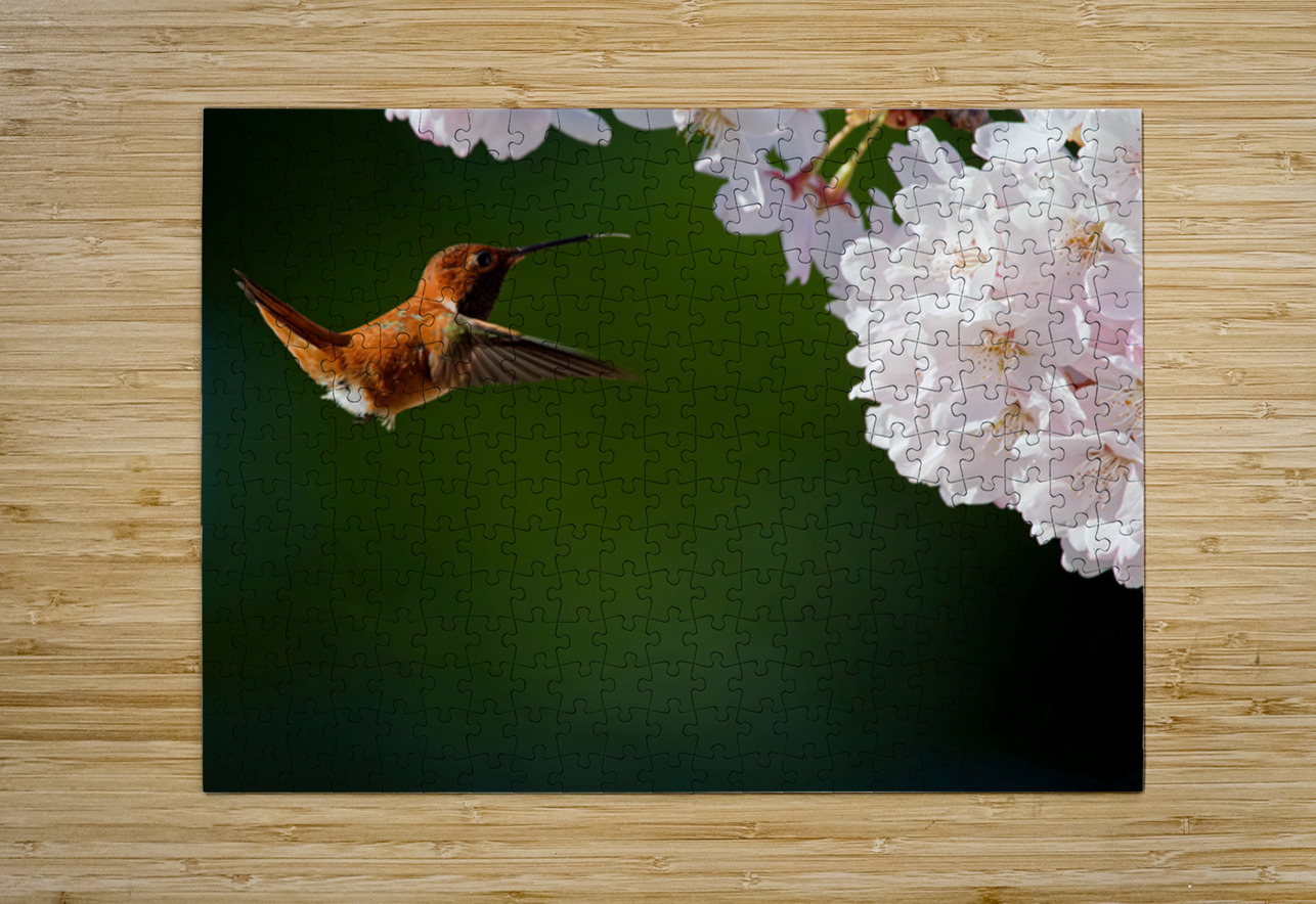 Rufous & Blossoms Heather Bee Photography Puzzle printing
