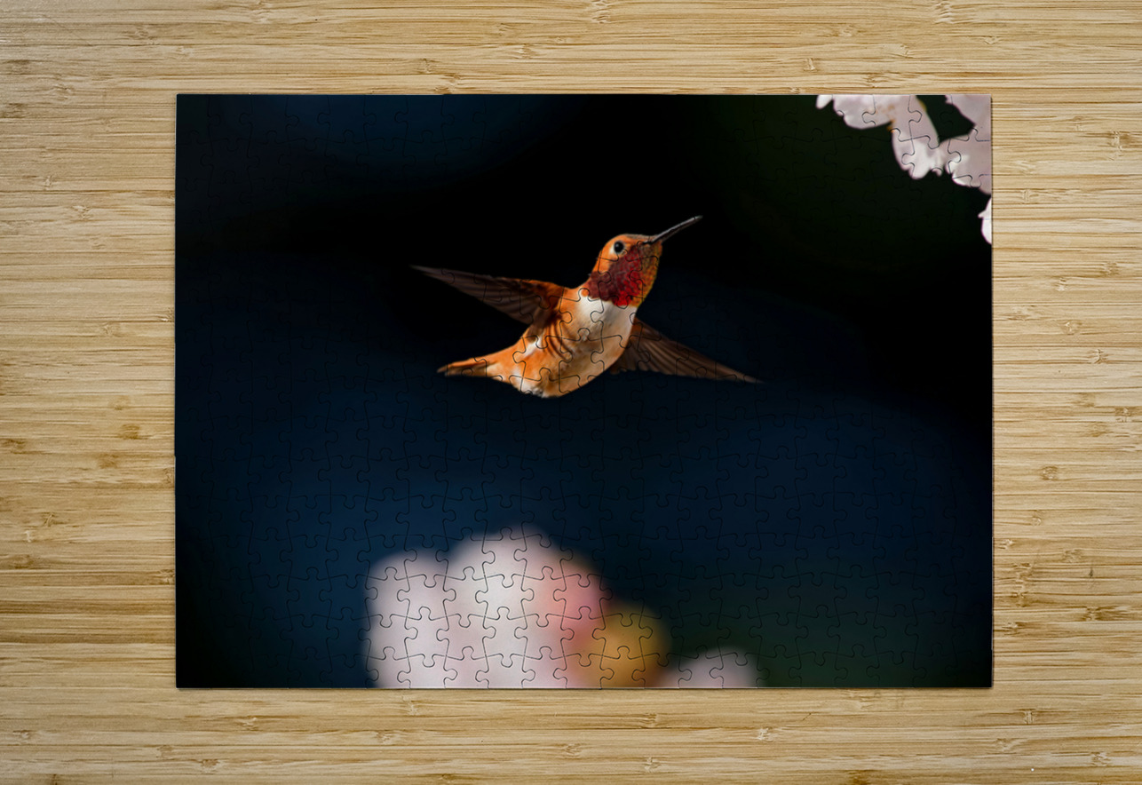 Hovercraft Heather Bee Photography Puzzle printing