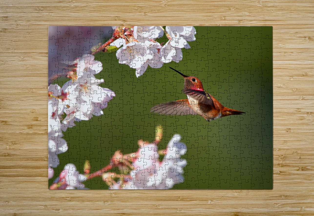 Afternoon Delight Heather Bee Photography Puzzle printing