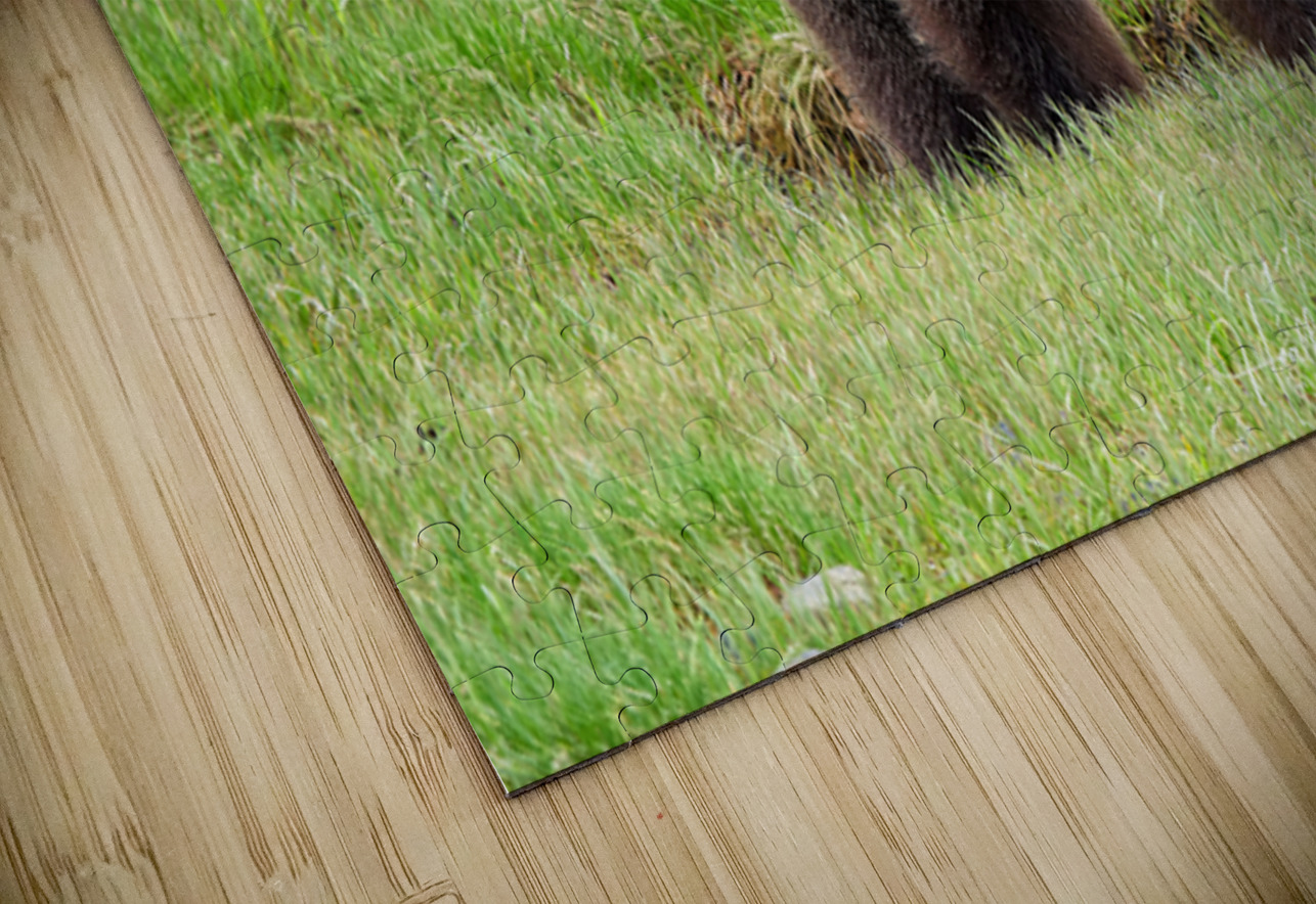 Boss Bear Heather Bee Photography Puzzle