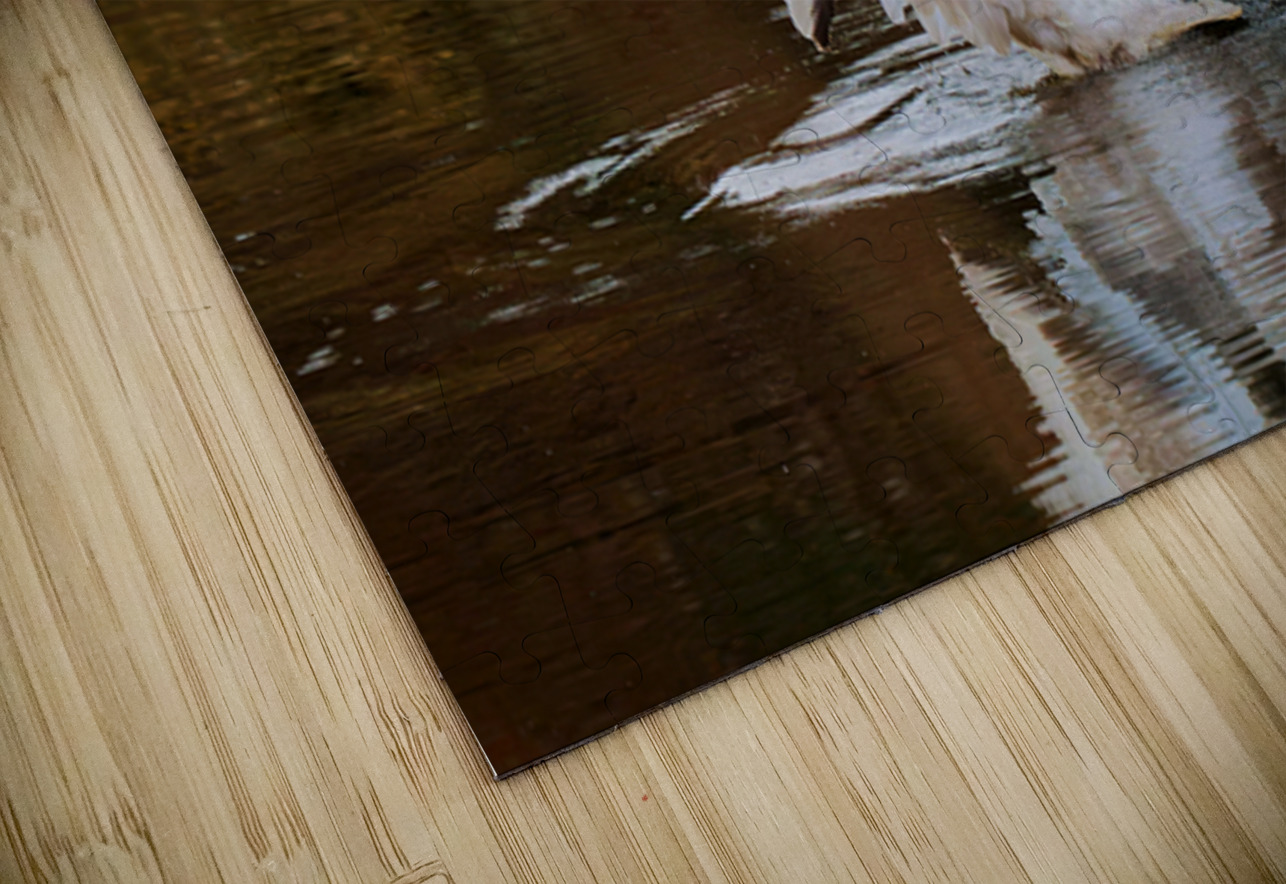 The Conductor Heather Bee Photography Puzzle