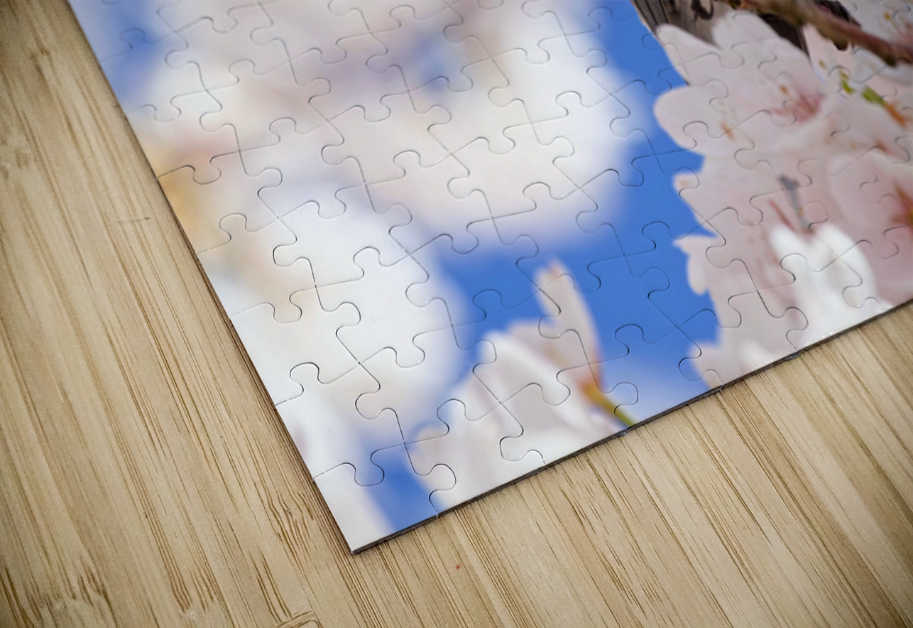 Warbler & Cherry Blossoms Heather Bee Photography Puzzle