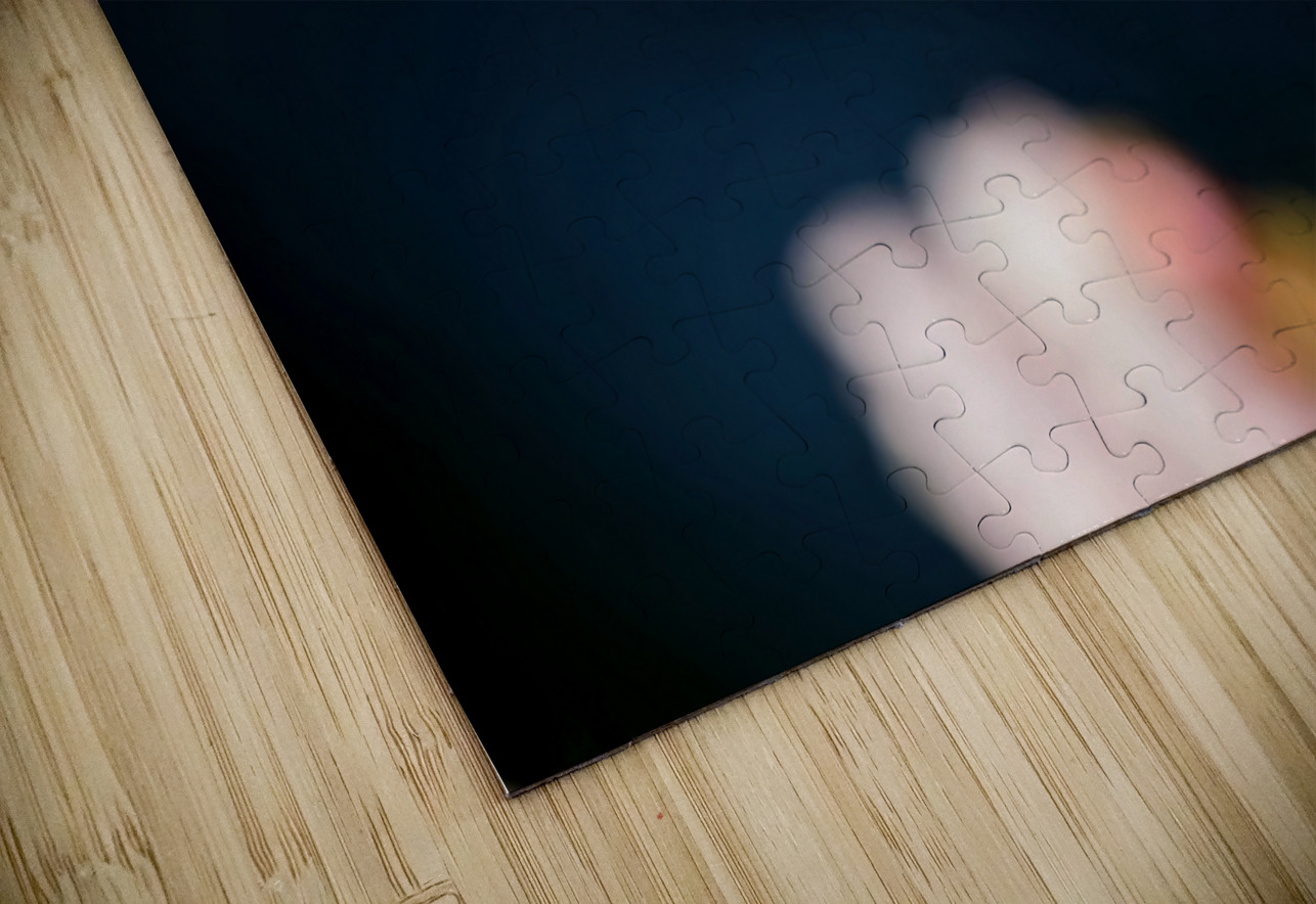 Hovercraft Heather Bee Photography Puzzle