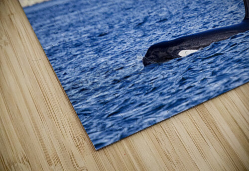 Legend II - Jetsam [T125A] Heather Bee Photography puzzle