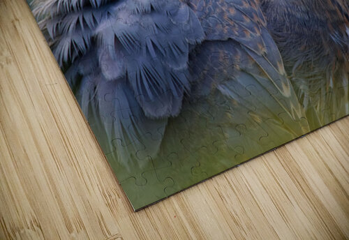 Autumn Blue Heather Bee Photography puzzle