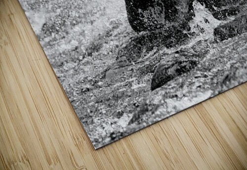 TSUNAMI Heather Bee Photography puzzle