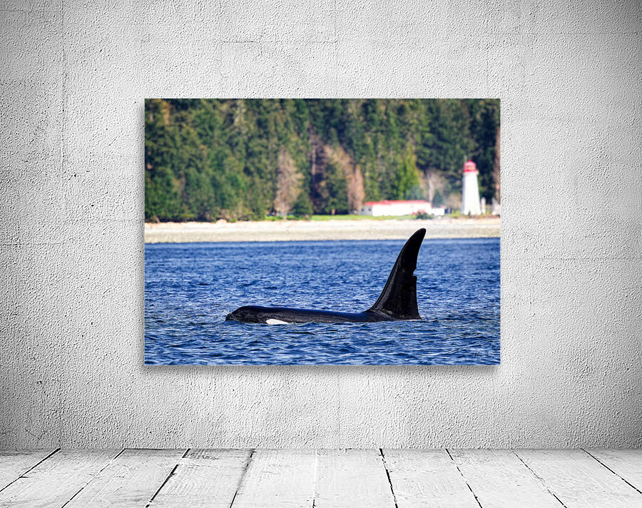 Legend II - Jetsam [T125A] Wall Preview