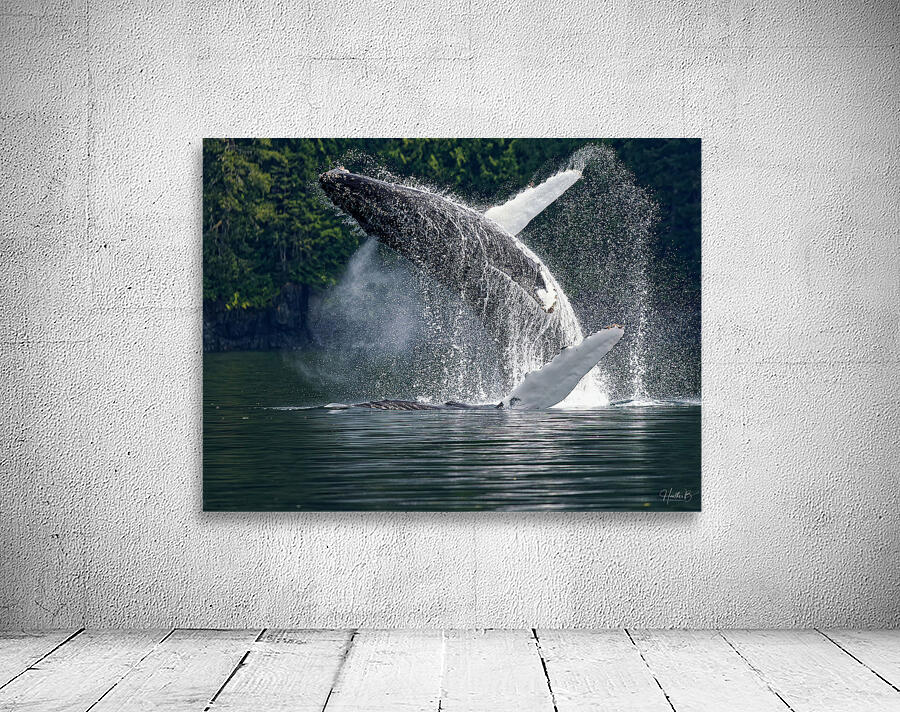 Celebration Wall Preview