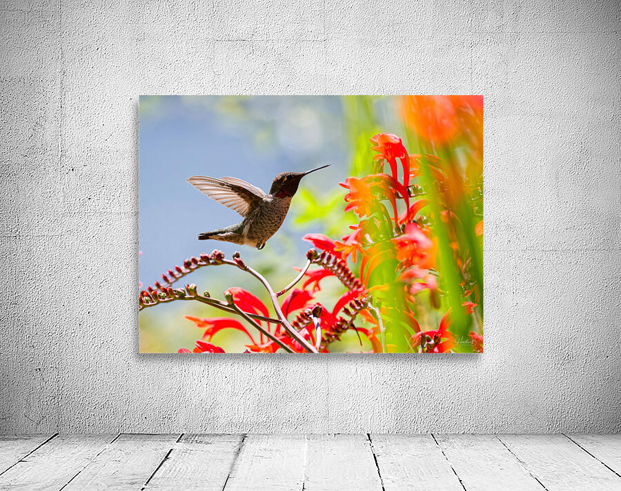 Anna & Lucifer Wall Preview