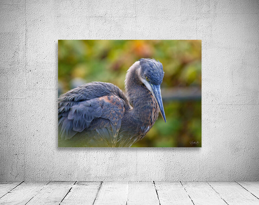 Autumn Blue Wall Preview