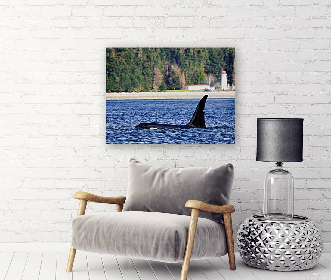 Legend II - Jetsam [T125A] Reproduction