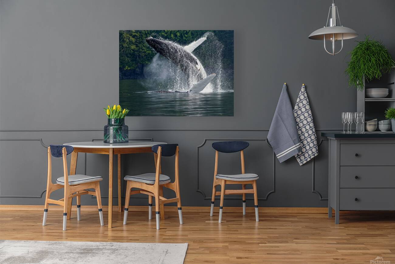 Celebration Reproduction