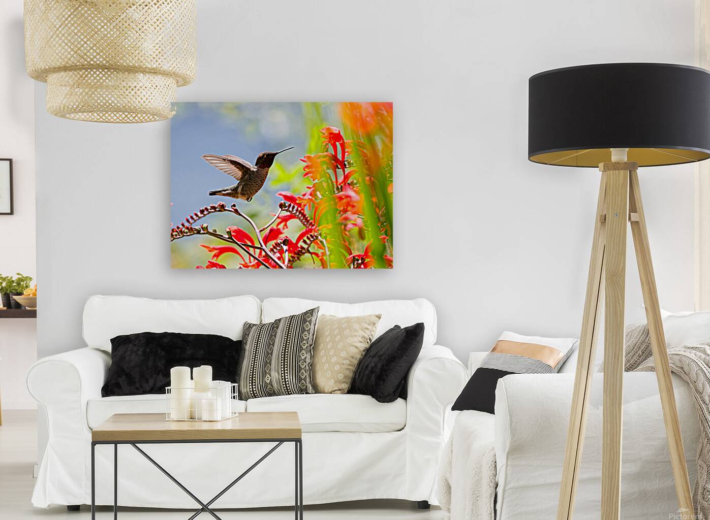 Anna & Lucifer Reproduction