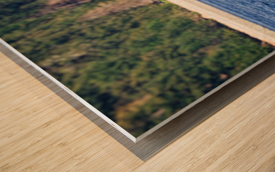 Legend II - Jetsam [T125A] Wood print