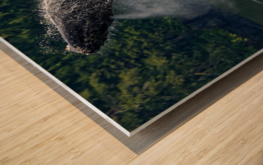 Celebration Wood print